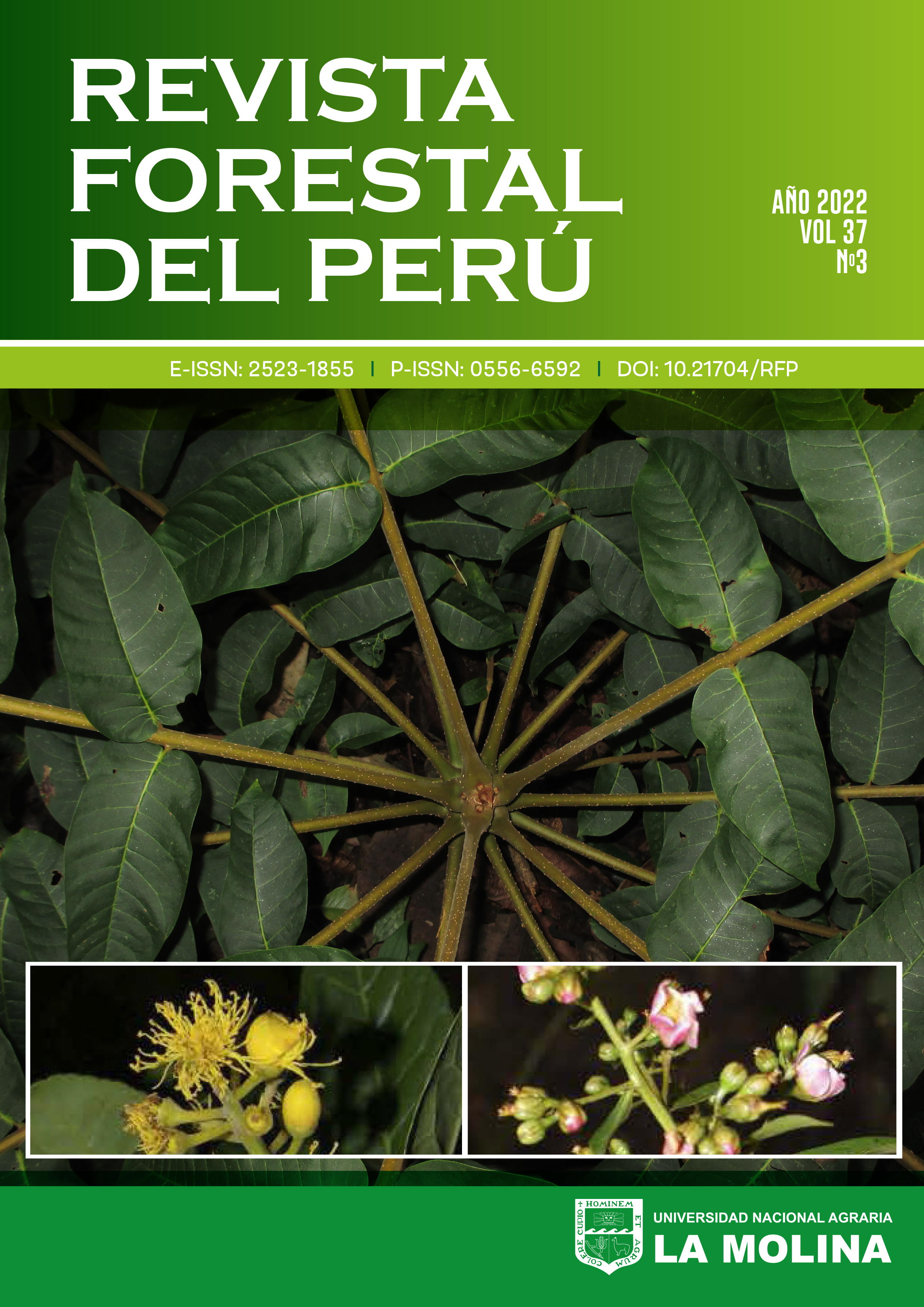 Catalogue of the Timber Forest Species of the Peruvian Amazon.